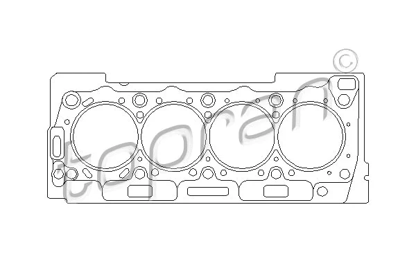 Gasket, cylinder head (722 337)