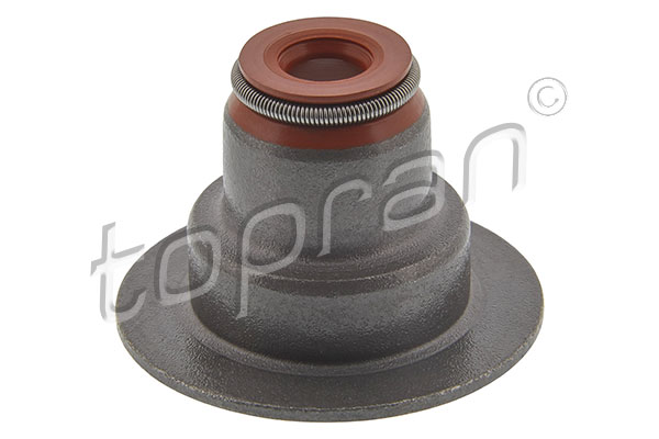 Seal Ring, valve stem (207 459)