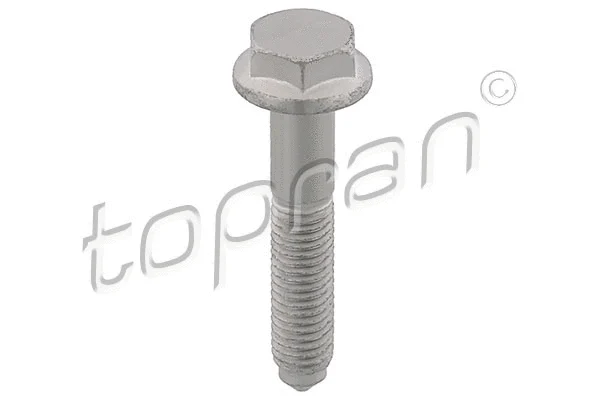 Screw (117 613)