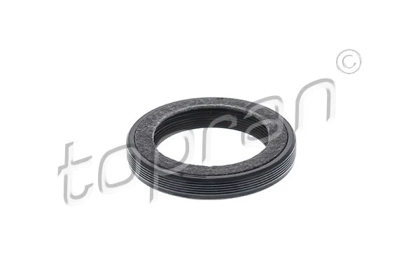 Shaft Seal, crankshaft (300 169)