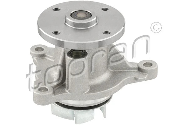 Water Pump, engine cooling (820 956)