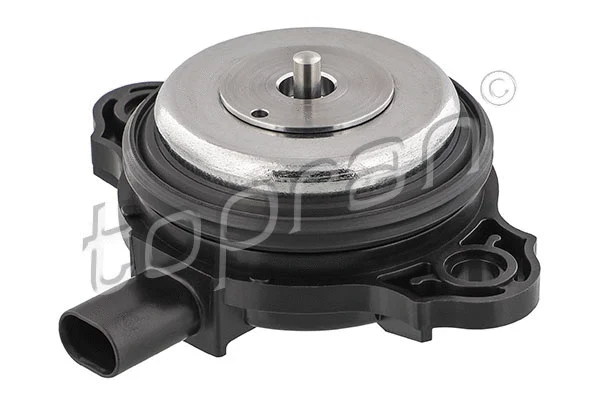 Central Magnet, camshaft adjustment (503 716)