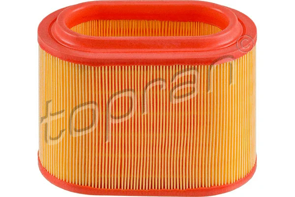 Air Filter (820 207)