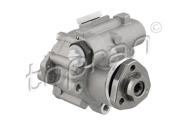 Hydraulic Pump, steering (113 539)