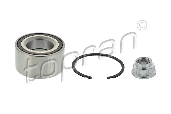 Wheel Bearing Kit (600 243)