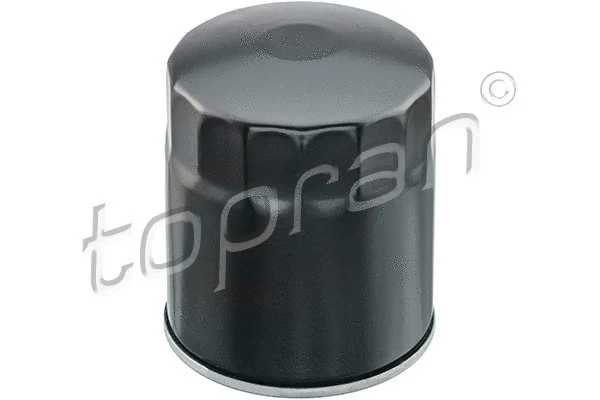 Oil Filter (820 174)
