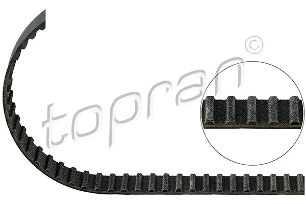 Timing Belt (101 058)