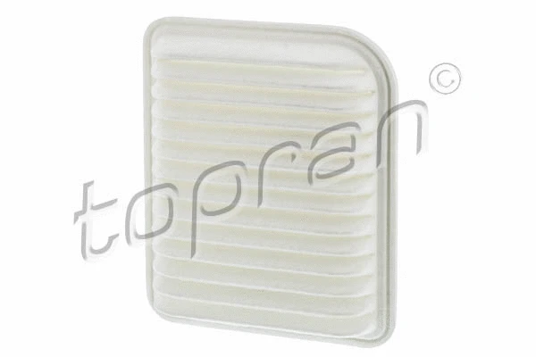 Air Filter (723 091)
