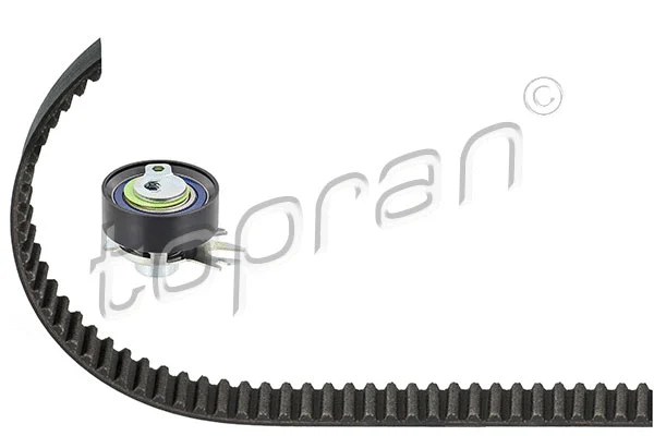 Timing Belt Kit (111 193)