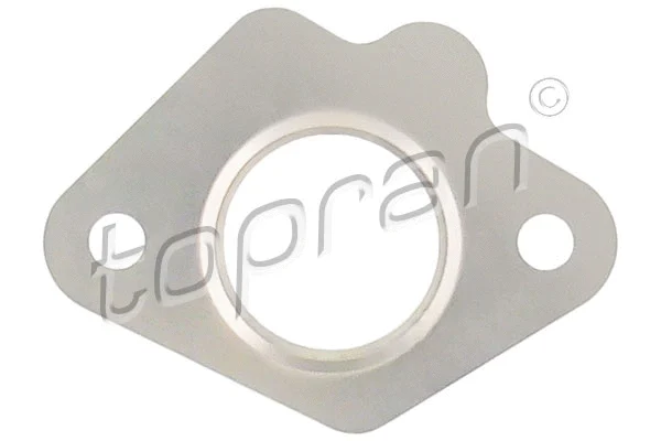 Gasket, EGR valve (723 858)