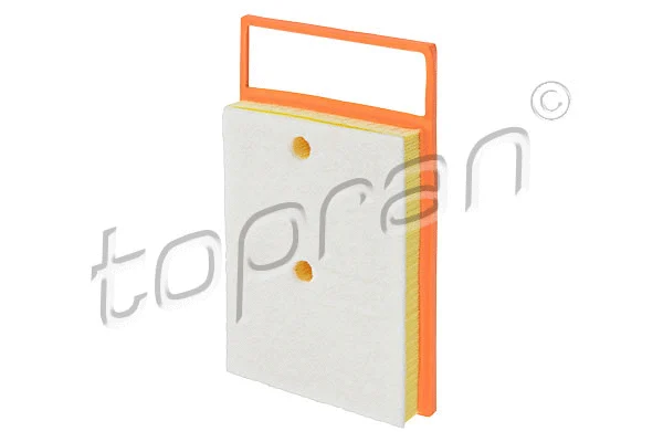 Air Filter (116 138)