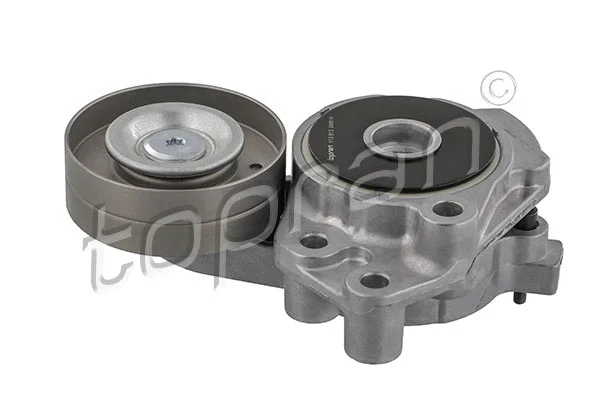 Belt Tensioner, V-ribbed belt (113 913)