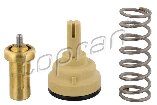 Thermostat, coolant (113 292)