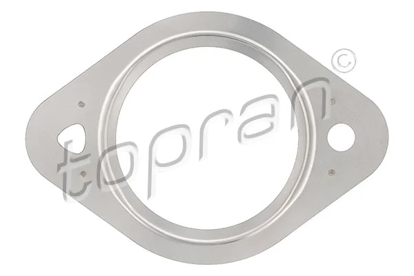 Gasket, exhaust pipe (113 938)