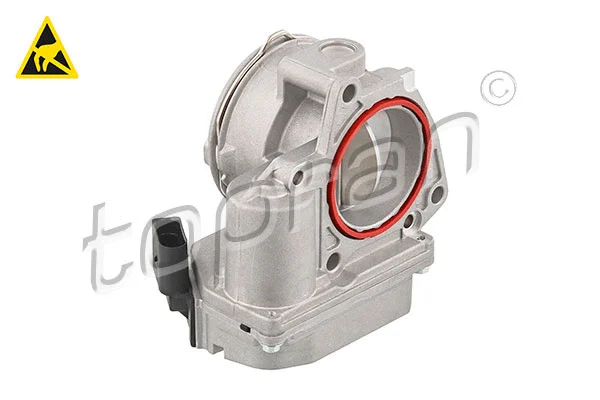Throttle Body (117 307)