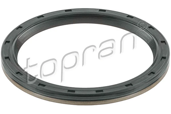 Shaft Seal, crankshaft (408 265)