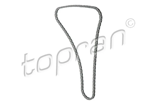 Timing Chain (503 190)