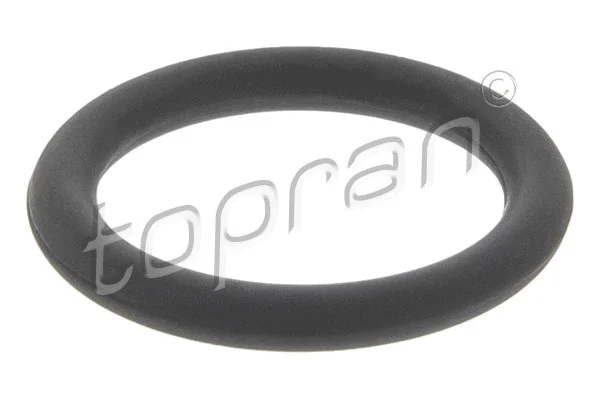 Seal Ring (120 007)