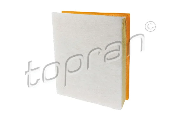 Air Filter (117 661)
