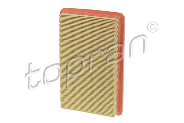 Air Filter (600 070)