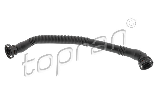 Hose, cylinder head cover ventilation (501 414)