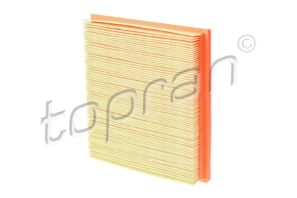 Air Filter (116 063)