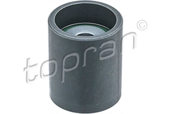 Deflection/Guide Pulley, timing belt (108 253)