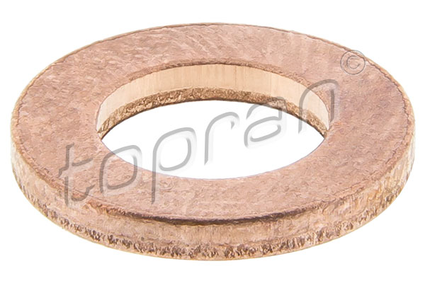 Seal Ring, injector (120 349)