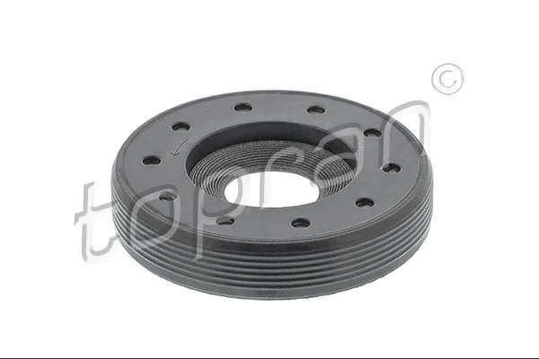 Shaft Seal, intermediate shaft (112 883)