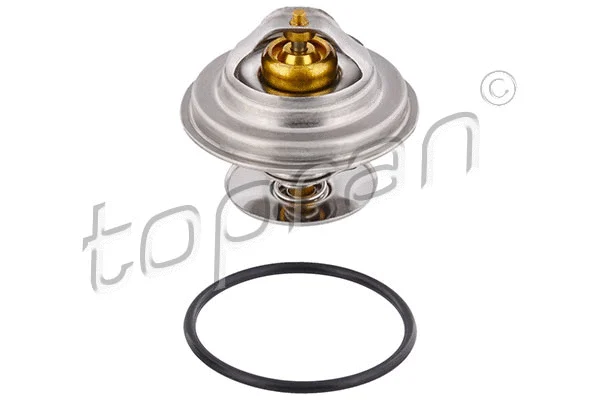 Thermostat, coolant (400 774)