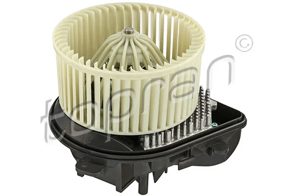 Interior Blower (722 859)