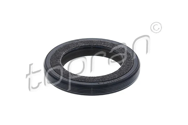Shaft Seal, crankshaft (304 144)