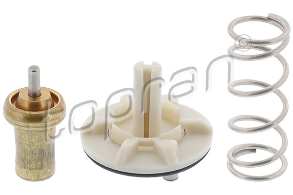Thermostat, coolant (113 293)