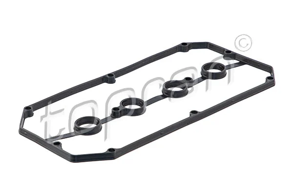Gasket, cylinder head cover (820 146)