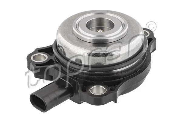 Central Magnet, camshaft adjustment (409 866)