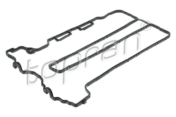 Gasket, cylinder head cover (206 513)