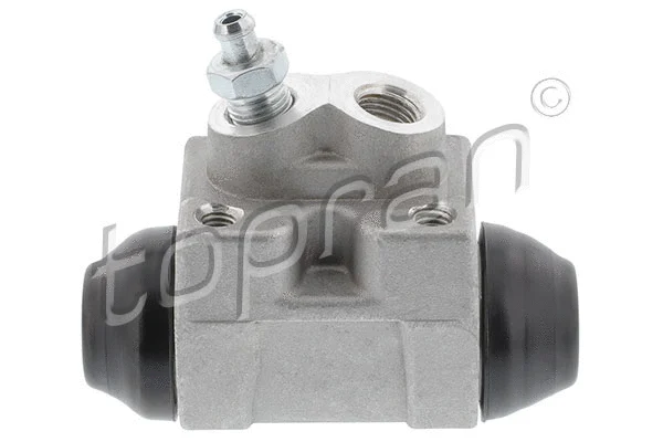 Wheel Brake Cylinder (820 975)