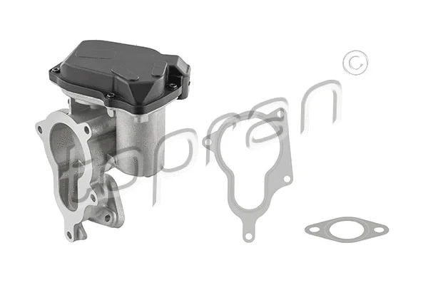 EGR Valve (639 159)