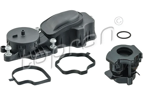 Valve, crankcase ventilation (501 998)