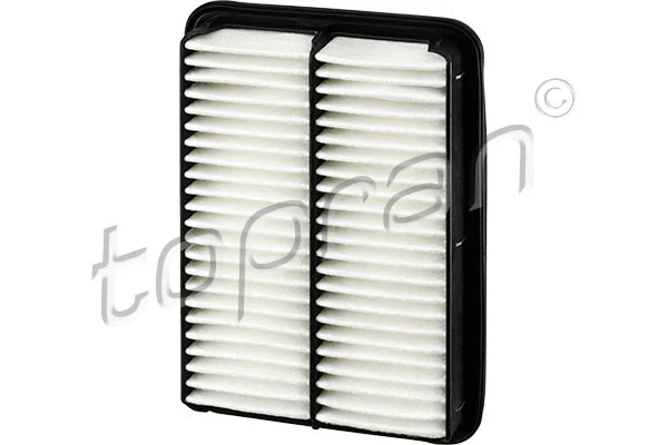 Air Filter (820 200)