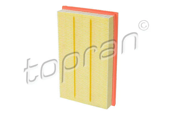 Air Filter (117 450)