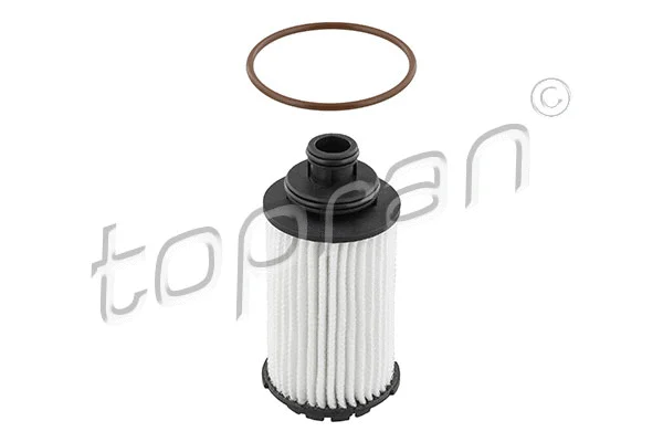 Oil Filter (208 691)