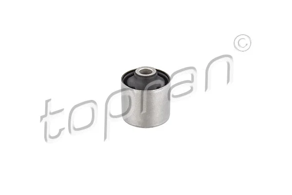 Bushing, axle beam (722 306)