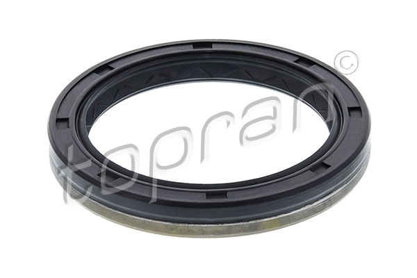 Shaft Seal, differential (111 038)