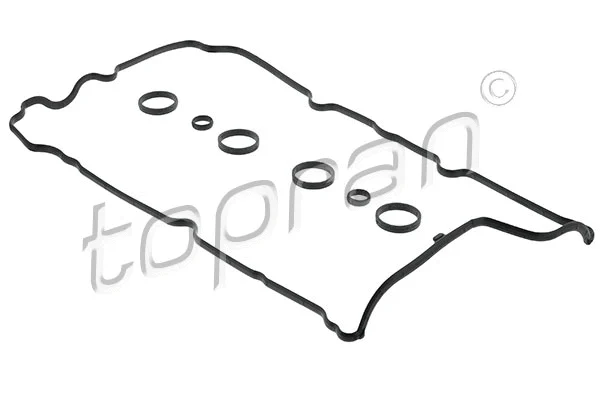Gasket Set, cylinder head cover (502 122)
