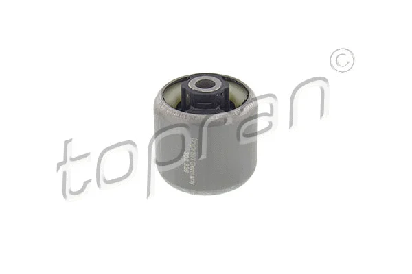 Bushing, axle beam (302 320)