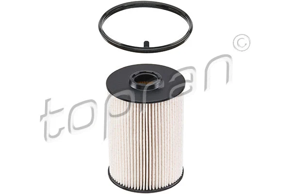 Fuel Filter (304 034)