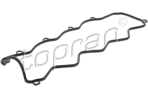 Gasket, cylinder head cover (722 536)