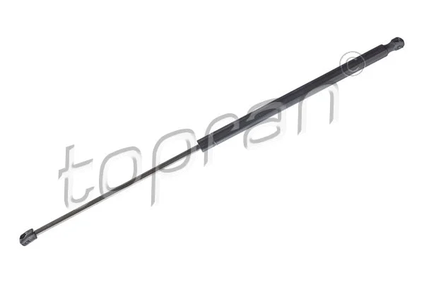 Gas Spring, boot/cargo area (304 818)