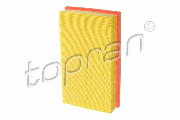 Air Filter (102 733)